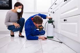 Best Real Estate Pest Inspections  in Calverton, MD